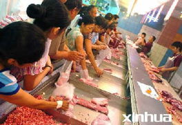 食用農(nóng)產(chǎn)品價(jià)格呈現(xiàn)分化趨勢 豬肉批發(fā)價(jià)連續(xù)兩周下跌，蔬菜價(jià)格持續(xù)攀升