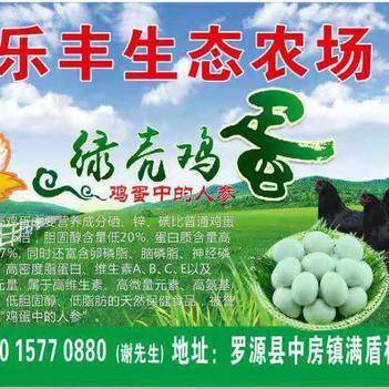 深耕源頭，鏈接餐桌 走進農(nóng)產(chǎn)品批發(fā)供應(yīng)商謝依燦的惠農(nóng)網(wǎng)之路