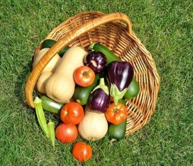 食品安全大于天，源頭把關是關鍵——陜西省市場監管局召開食用農產品批發環節質量安全座談會